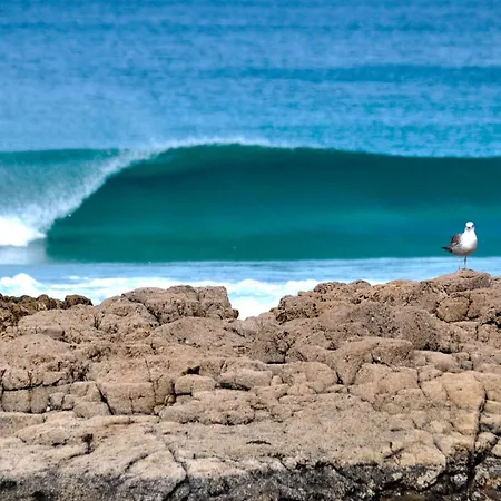 Native Coconut House * 코라레호