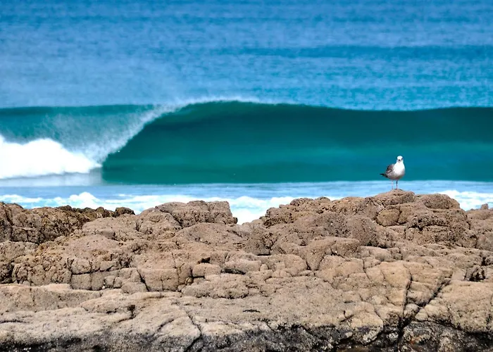 Native Coconut House * Corralejo